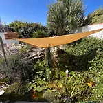 Les Agapanthes