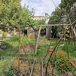 Maison Familiale Avec Jardin