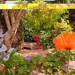 Gite Les Coquelicots Proche Mer