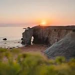 Sauvage