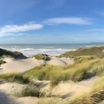 Entre Dunes Et Pins
