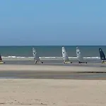 Entre Dunes Et Pins