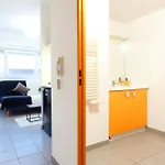 Comfortable Studio Of 18 M2 In Montpellier