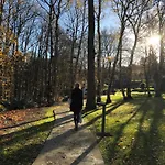 Les Pins De Cesar - La Campagne D'Etretat