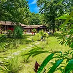 House De La Canopee, Swimming Pool, Lake, Forest, Large Garden And Wifi