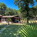 House De La Canopee, Swimming Pool, Lake, Forest, Large Garden And Wifi