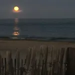 Mas De La Plage