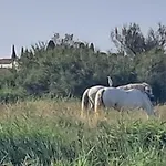 Clos Gabmy Entre Plage Et Garrigue