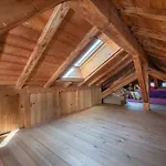 Spacious Loft On Pedestrian Street With Views