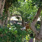 Chambres Privees Maison Jardin Toutes Commodites Partagees