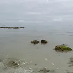 Ty Sterenn E Giulia 700M De La Plage De Lodonnec