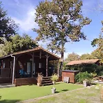 Chalet Prestige Au Coeur Du Bassin D'Arcachon