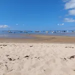 Sable Jaune