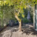 Cabane Dans Les Arbres, Proche Mer