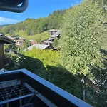 Appartement 2 Pieces Residence Les Fermes Emiguy Les Gets