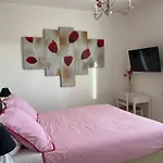 Les Hortensias