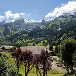 Chalet 10 Pers A La Clusaz - 5 Ch - Calme - Cheminee - Animaux Admis - Parking - Fr-1-437-73