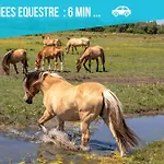 Gite Entre Terre Et Marais
