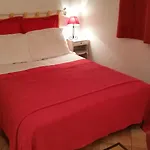 La Cigale Sous L'Olivier