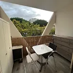 Studio Rock Wood
