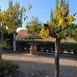 St Cyprien Aygual Maison Avec Bel Exterieur