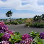 Les Hortensias De Papy