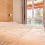 Appartement Renove Au Centre De La Station Avec Balcon, Pres Des Pistes Et Commerces - Fr-1-346-400