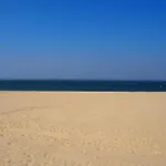 Appartement Pour 4 Pers. Avec Terrasse, Jardin Et Parking - Quartier Des Abatilles, Arcachon - Fr-1-474-58