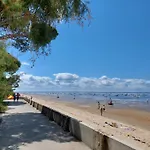 Sable Gris