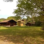 Les Rives Du Lac De Leon
