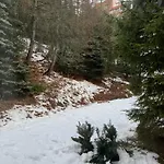 Appartement Les Menuires - 4 Personnes A 20 M Des Pistes