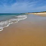 Villa Avec Piscine Chauffee Et Parc Arbore Situee A 100 M De La Plage Et Foret Sans Vis A Vis