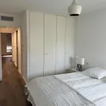 Luxury Apartment