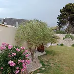 Les Palmiers