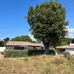 Le Moulin D'Angibaud