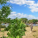 Appartement Cosy Canet En Roussillon 25 M² Vue Sur Le Lac