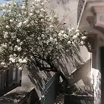 La Maison Rose Et Son Jardin