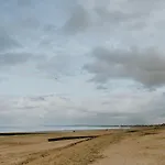 Petit Nid En Bord De Mer