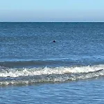 Cote Mer