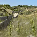 Maison - Cosy - Baie D'Authie