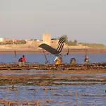 Le Boyard - En Plein Coeur De Ville Avec Vue Sur L'Ocean