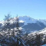 Studio Confortable Pour 3 Avec Balcon Et Animaux Acceptes A La Plagne - Fr-1-353-9