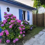 Maisonnette La Tropicale