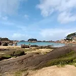 Ty Spot