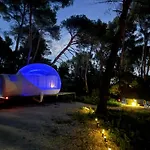 La Bulle Des Pins
