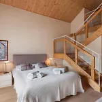 Duplex Spacieux Et Ensoleille Au Pied Des Pistes A Meribel - Fr-1-565-30