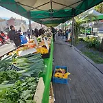 Studio Au Bord De La Mer 2