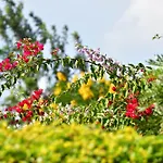 Tanzanice Farm Lodge
