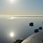 L'Abricotier
