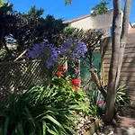 Les Mimosas